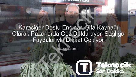 Karaciğer Dostu Enginar: Şifa Kaynağı Olarak Pazarlarda Göz Dolduruyor, Sağlığa Faydalarıyla Dikkat Çekiyor