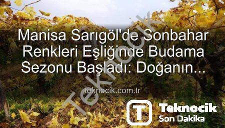 Manisa Sarıgöl’de Sonbahar Renkleri Eşliğinde Budama Sezonu Başladı: Doğanın Büyüsüne Eşlik Eden İşçiler