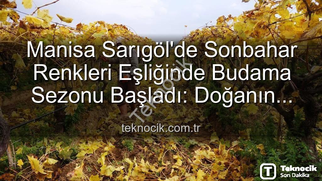 Sarıgöl budama çalışmaları - Manisa Sarıgöl'de Sonbahar Renkleri Eşliğinde Budama Sezonu Başladı: Doğanın Büyüsüne Eşlik Eden İşçiler