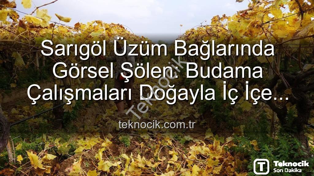 Sarıgöl budama - Sarıgöl Üzüm Bağlarında Görsel Şölen: Budama Çalışmaları Doğayla İç İçe Devam Ediyor
