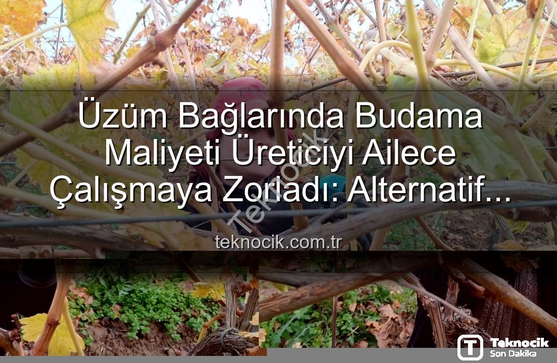 budama maliyeti - Üzüm Bağlarında Budama Maliyeti Üreticiyi Ailece Çalışmaya Zorladı: Alternatif Çözümler ve Ekonomik Etkiler