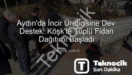 Aydın’da İncir Üreticisine Dev Destek: Köşk’te Tüplü Fidan Dağıtımı Başladı