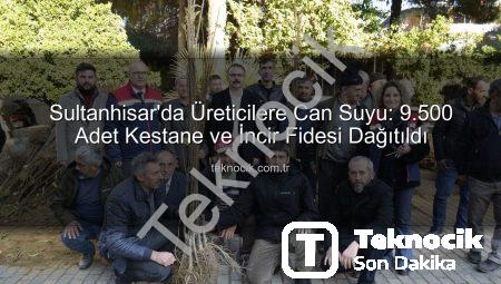 Sultanhisar’da Üreticilere Can Suyu: 9.500 Adet Kestane ve İncir Fidesi Dağıtıldı