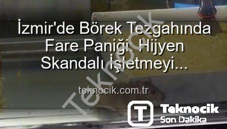 İzmir’de Börek Tezgahında Fare Paniği: Hijyen Skandalı İşletmeyi Mühürletti