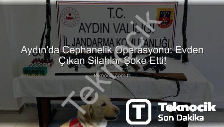 Aydın’da Cephanelik Operasyonu: Evden Çıkan Silahlar Şoke Etti!