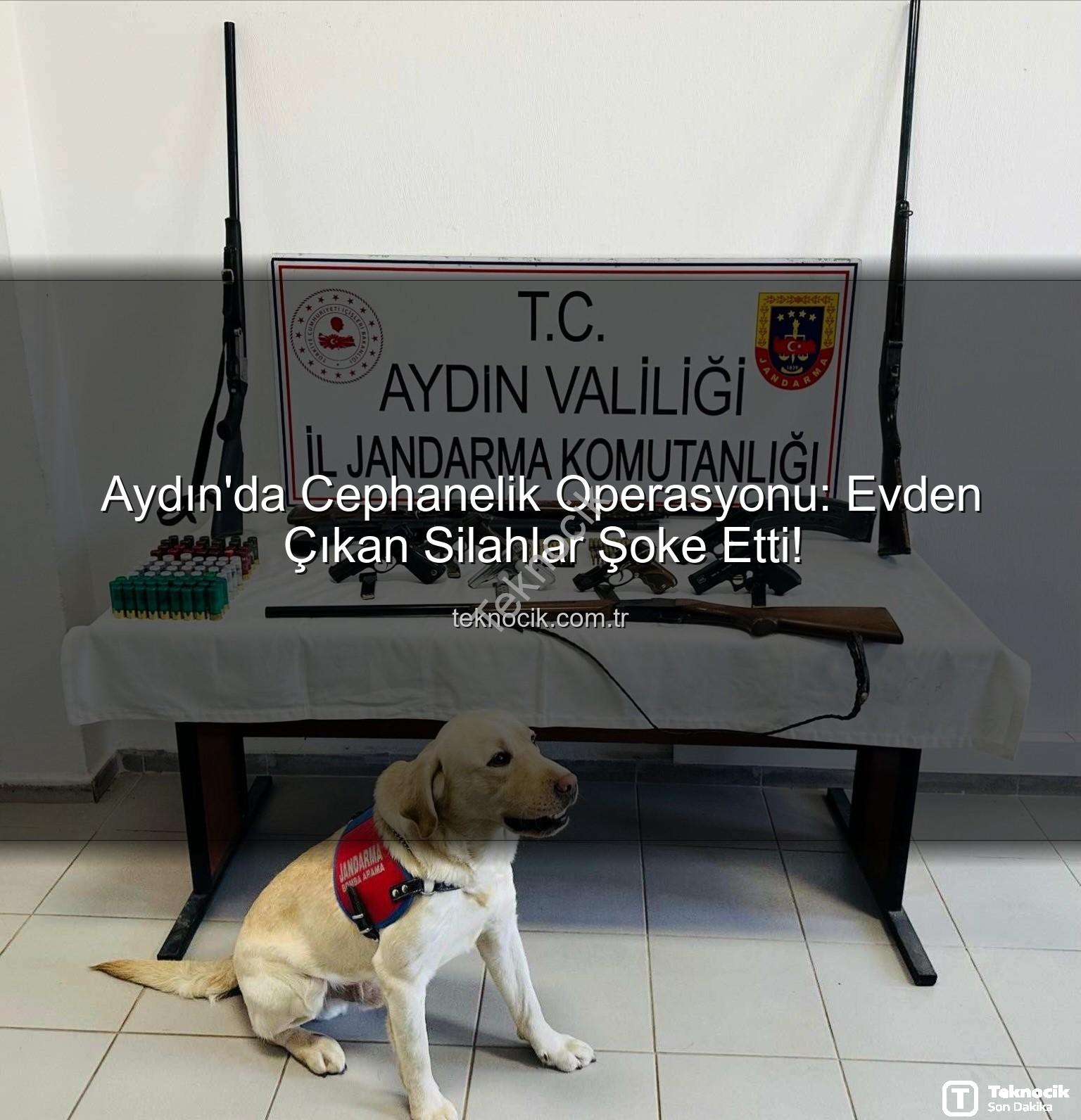 ruhsatsız silah - Aydın'da Cephanelik Operasyonu: Evden Çıkan Silahlar Şoke Etti!