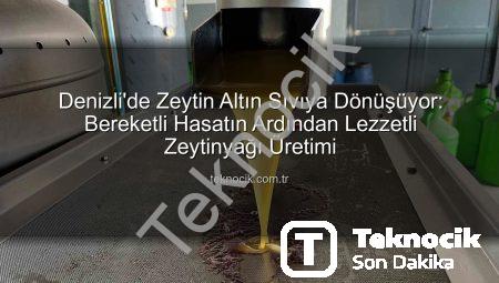 Denizli’de Zeytin Altın Sıvıya Dönüşüyor: Bereketli Hasatın Ardından Lezzetli Zeytinyağı Üretimi