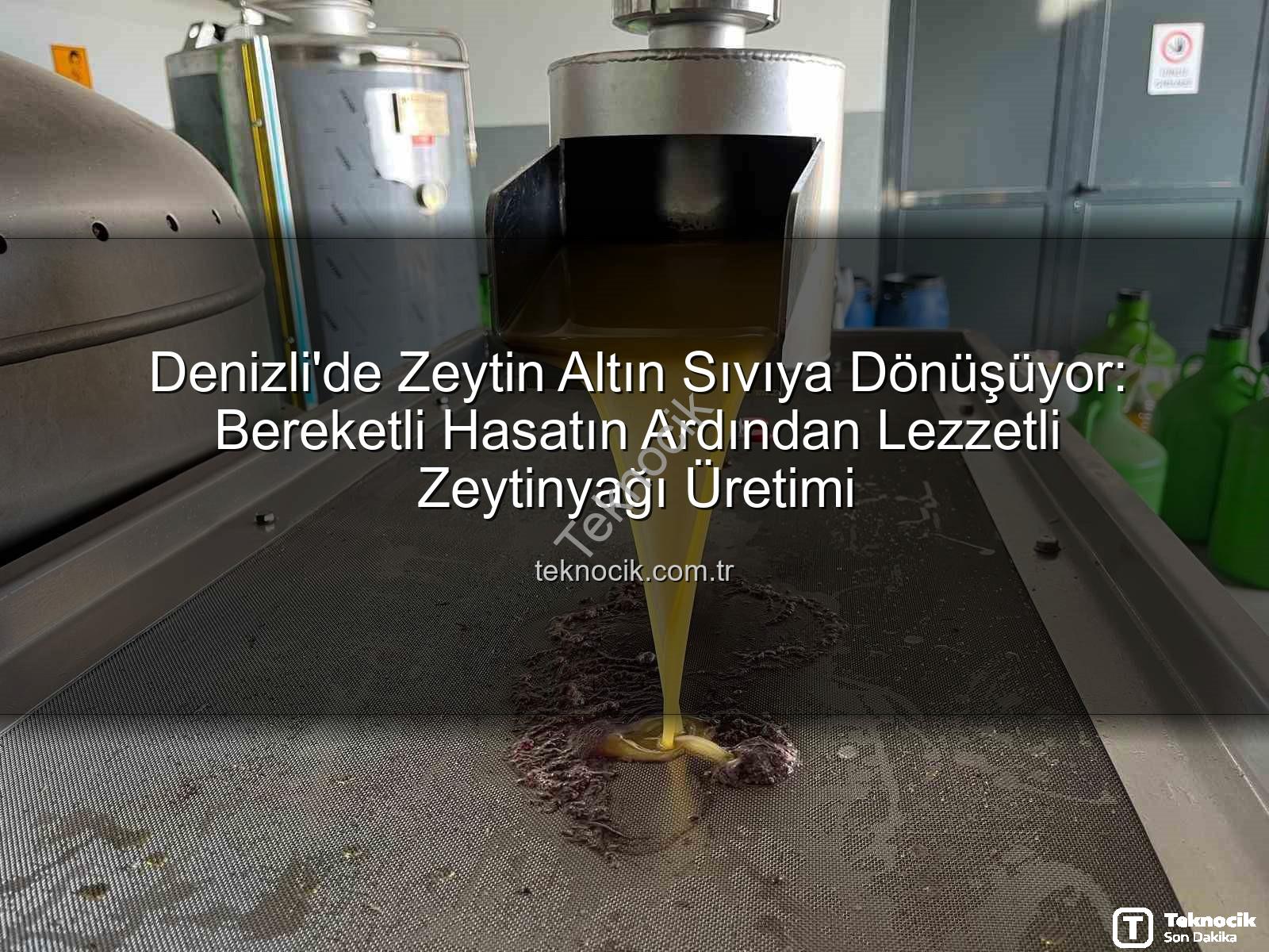 Denizli'de Zeytin Altın Sıvıya Dönüşüyor: Bereketli Hasatın Ardından Lezzetli Zeytinyağı Üretimi