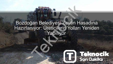 Bozdoğan Belediyesi Zeytin Hasadına Hazırlanıyor: Üreticilerin Yolları Yeniden Yapılıyor