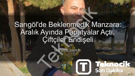 Sarıgöl’de Beklenmedik Manzara: Aralık Ayında Papatyalar Açtı, Çiftçiler Endişeli