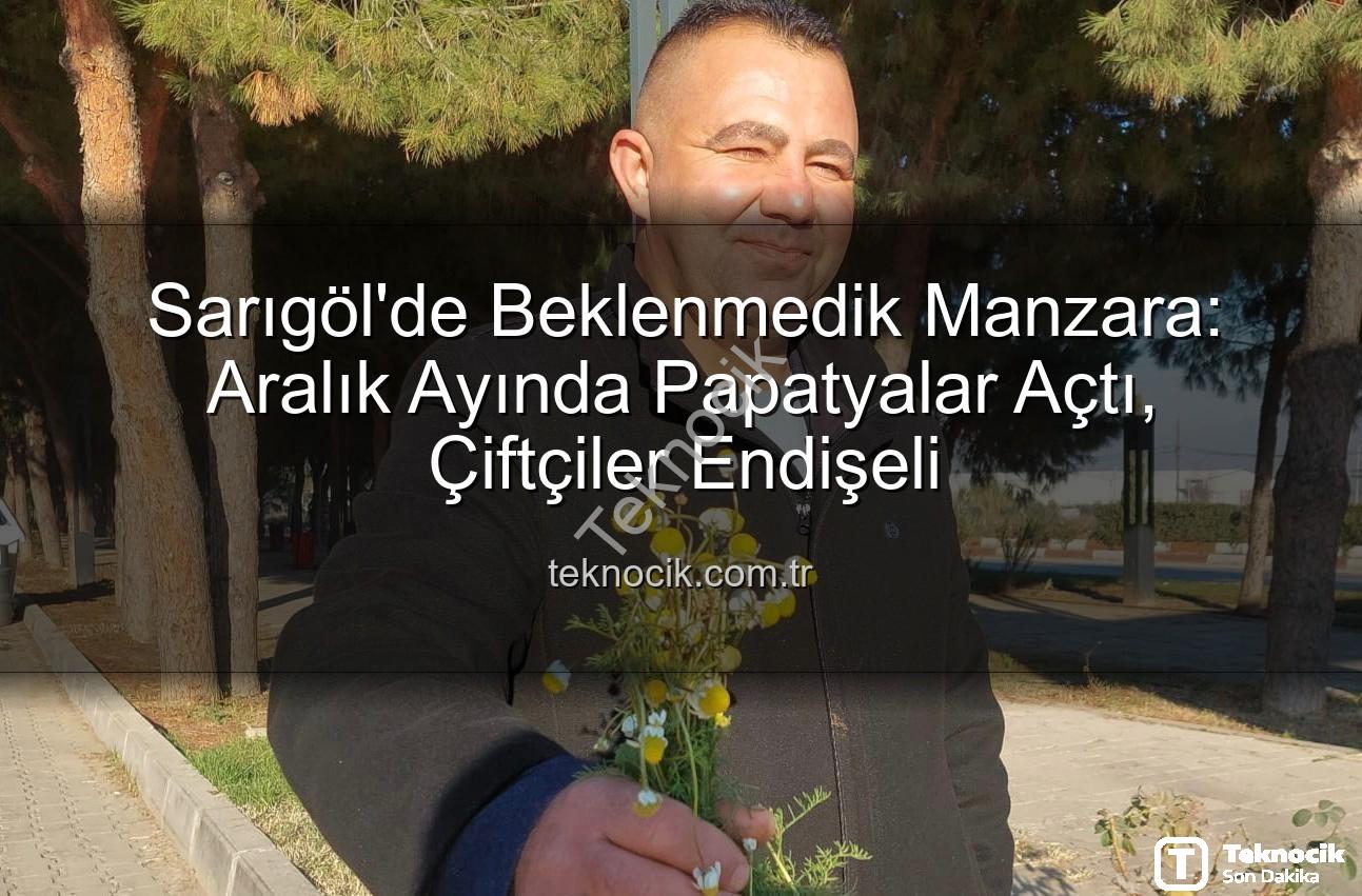 Aralık'ta papatya açması - Sarıgöl'de Beklenmedik Manzara: Aralık Ayında Papatyalar Açtı, Çiftçiler Endişeli